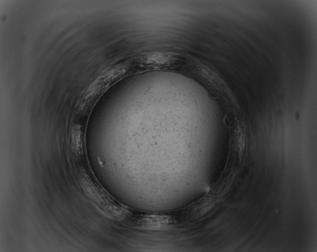 X0000051890328200507020102