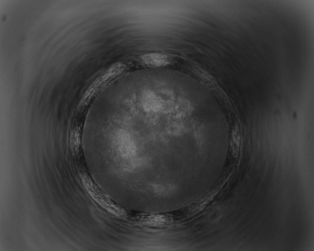 X0000051890330200507020102