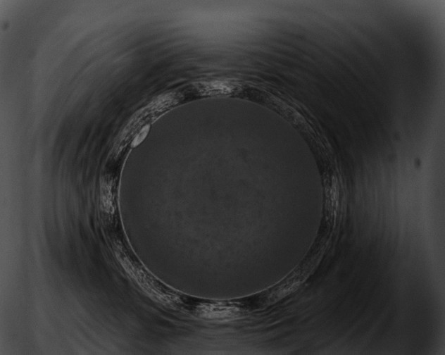 X0000051890331200507020102