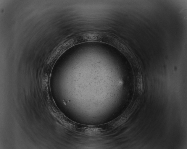 X0000051890332200507020102