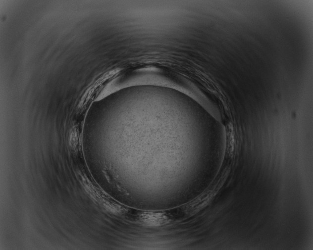 X0000051890333200507020102