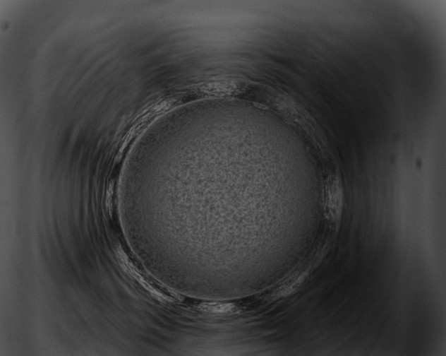 X0000051890334200507020102