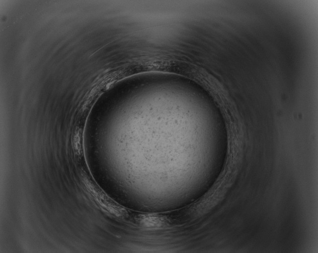 X0000051890336200507020102