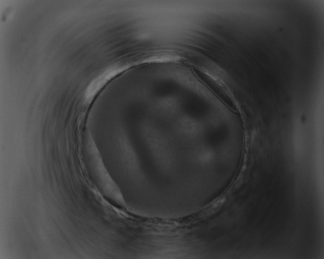 X0000051890337200507020101