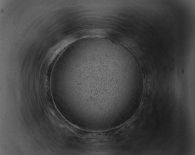 X0000051890338200507020101