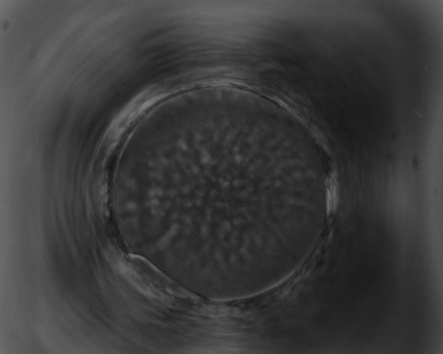 X0000051890339200507020101