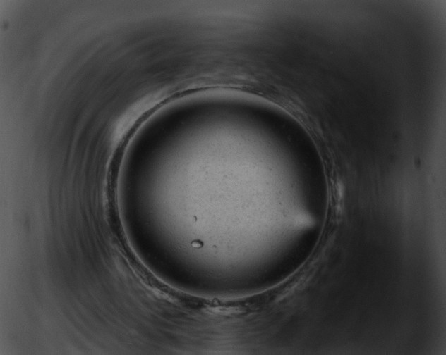 X0000051890340200507020101