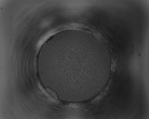 X0000051890341200507020101