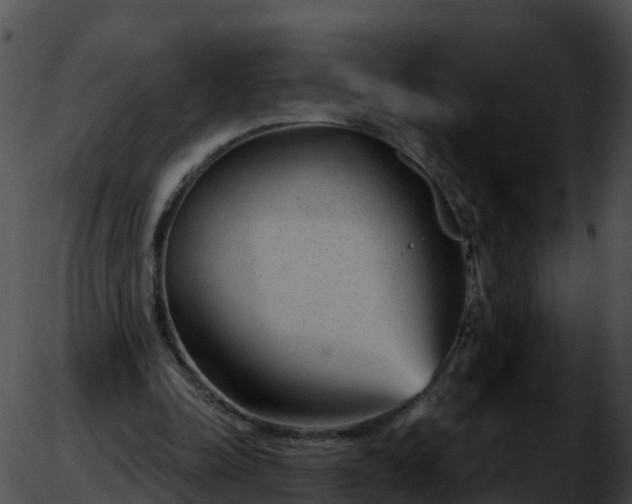 X0000051890342200507020101