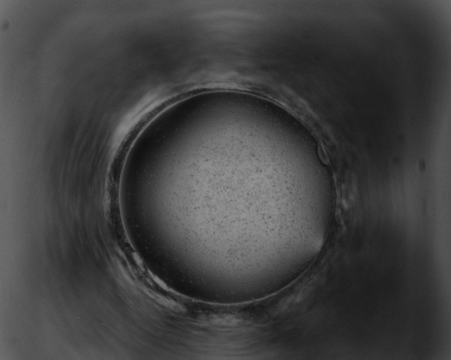 X0000051890344200507020101