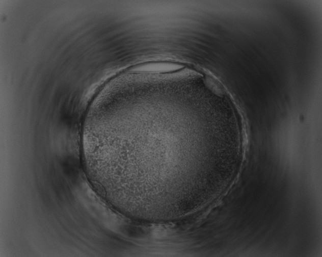 X0000051890345200507020101