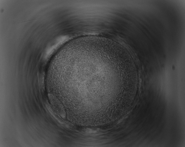 X0000051890346200507020101