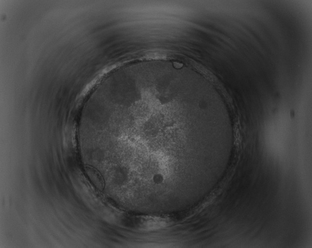 X0000051890347200507020101