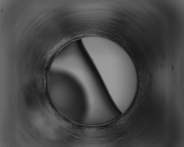 X0000051890349200507020101