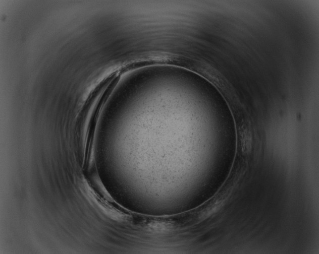 X0000051890350200507020101