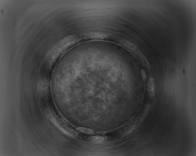 X0000051890352200507020101