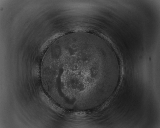 X0000051890353200507020101