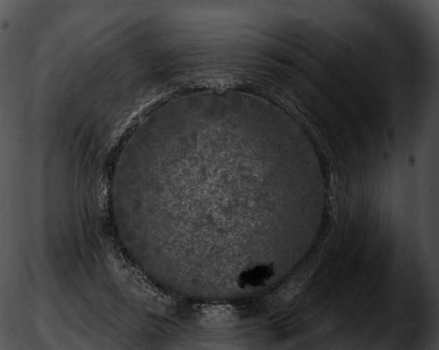 X0000051890355200507020101