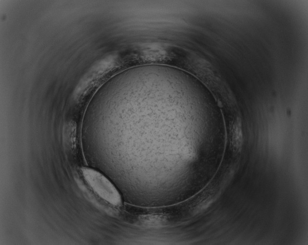 X0000051890356200507020101