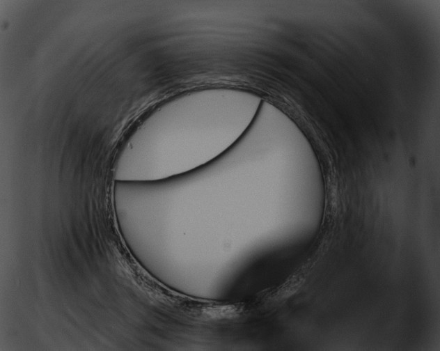 X0000051890357200507020101