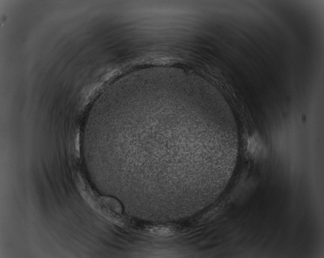 X0000051890358200507020101