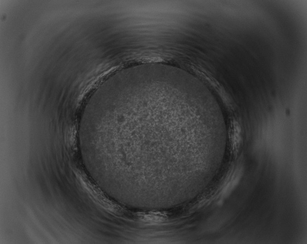 X0000051890359200507020101