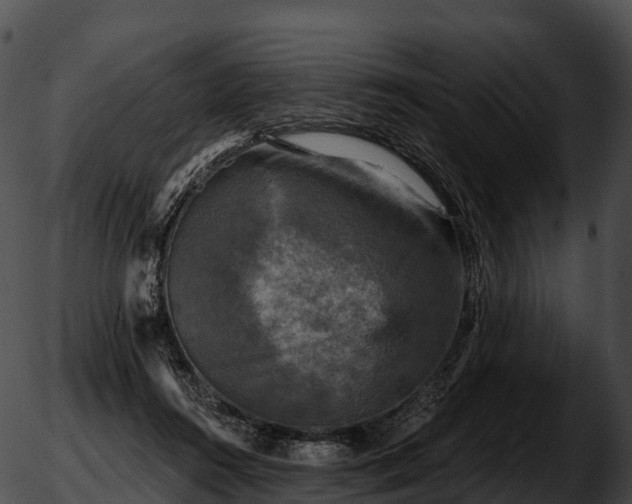 X0000051890360200507020101