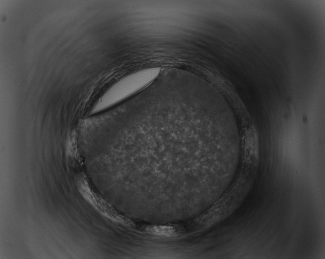 X0000051890361200507020101