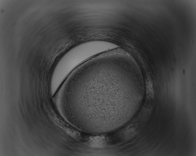 X0000051890362200507020101