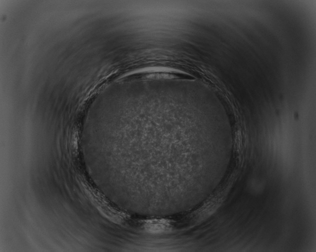 X0000051890363200507020102