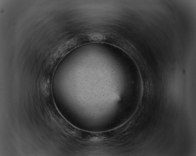 X0000051890364200507020102