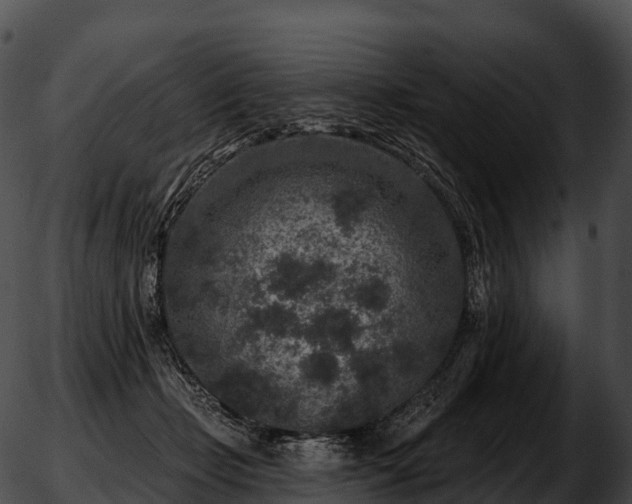 X0000051890365200507020102