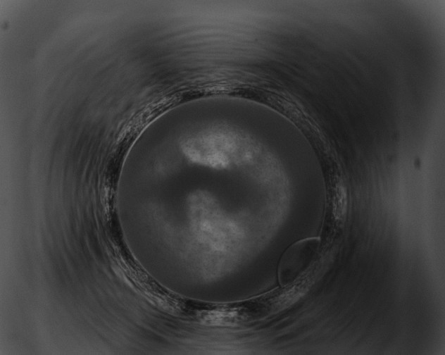 X0000051890366200507020102