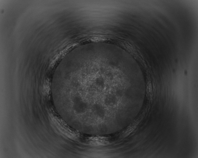 X0000051890367200507020102