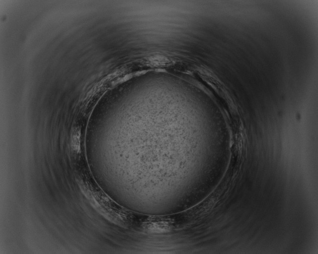 X0000051890368200507020102