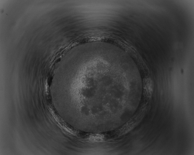 X0000051890369200507020102