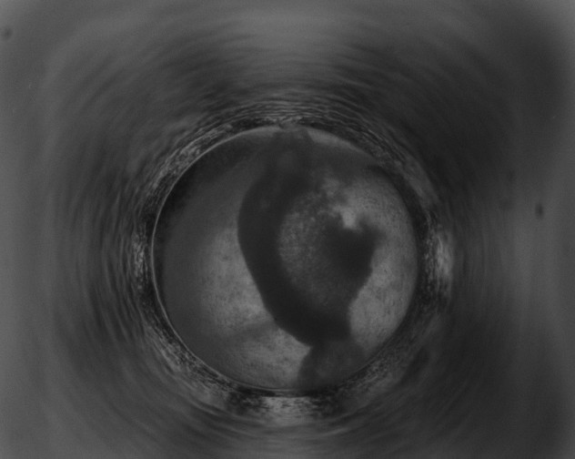 X0000051890371200507020102