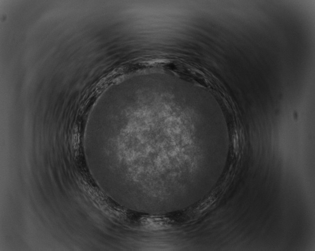 X0000051890372200507020102