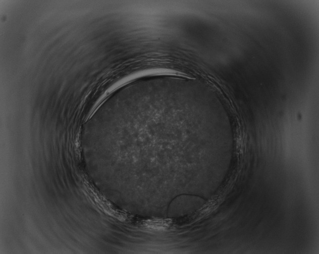 X0000051890373200507020102