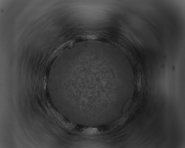 X0000051890374200507020102