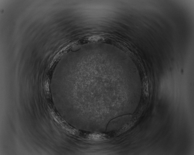 X0000051890375200507020102