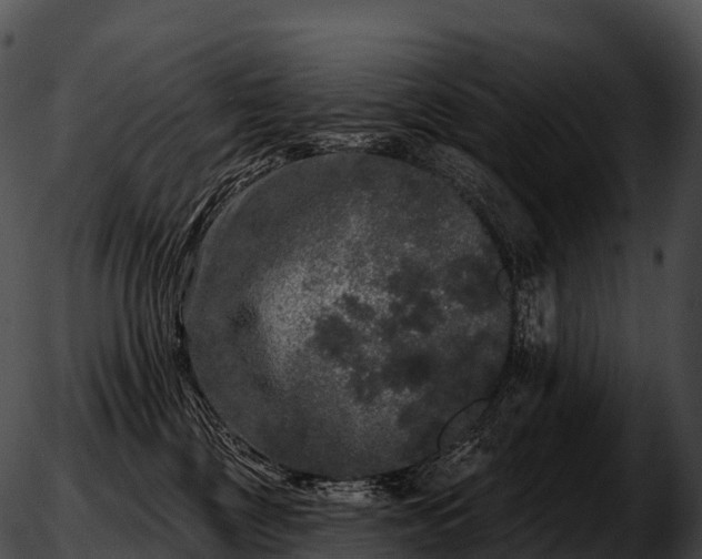 X0000051890377200507020102