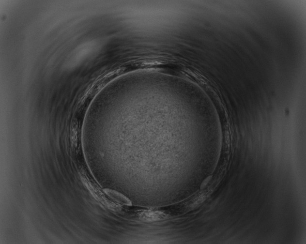 X0000051890379200507020102