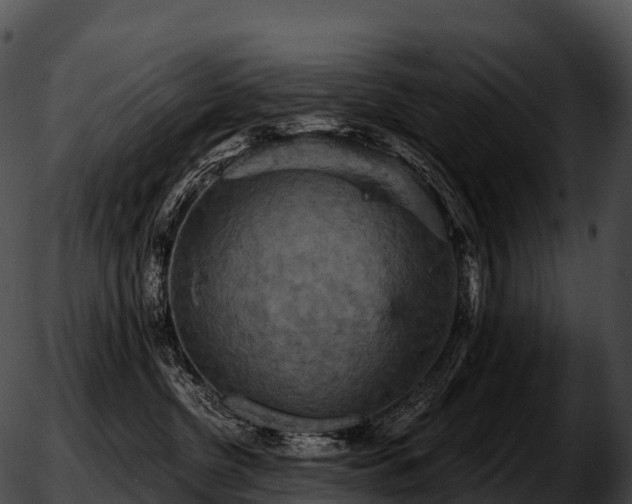 X0000051890380200507020102