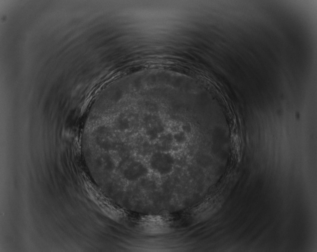 X0000051890381200507020102