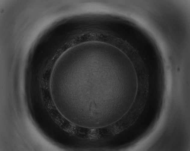 X0000051890382200507020102