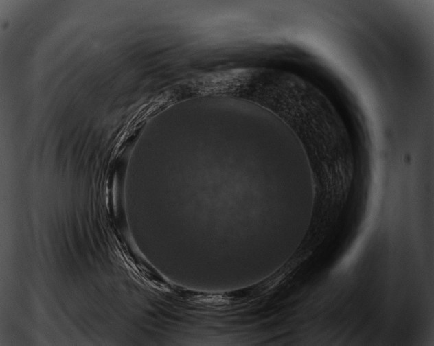 X0000051890383200507020102