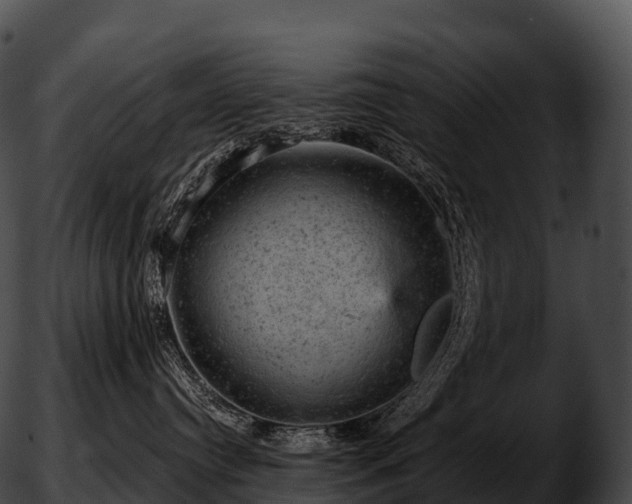 X0000051890384200507020102