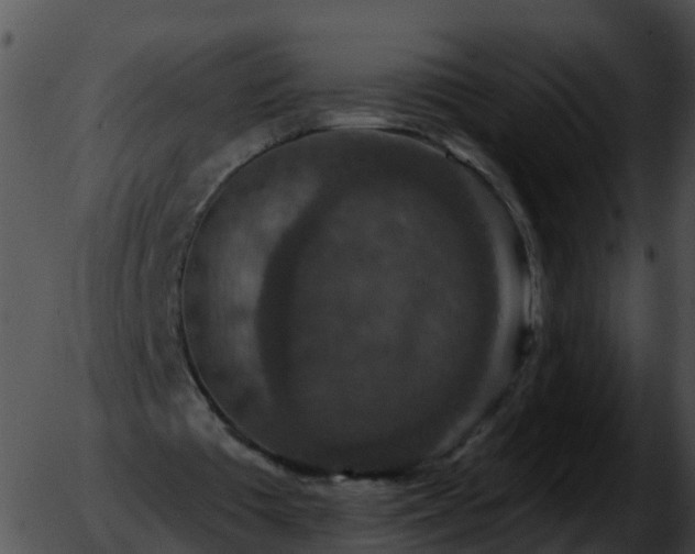 X0000051890385200507020101