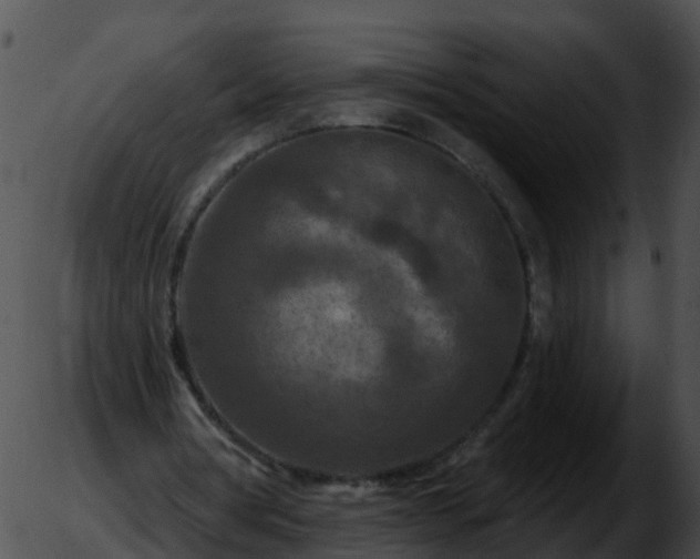 X0000051890386200507020101